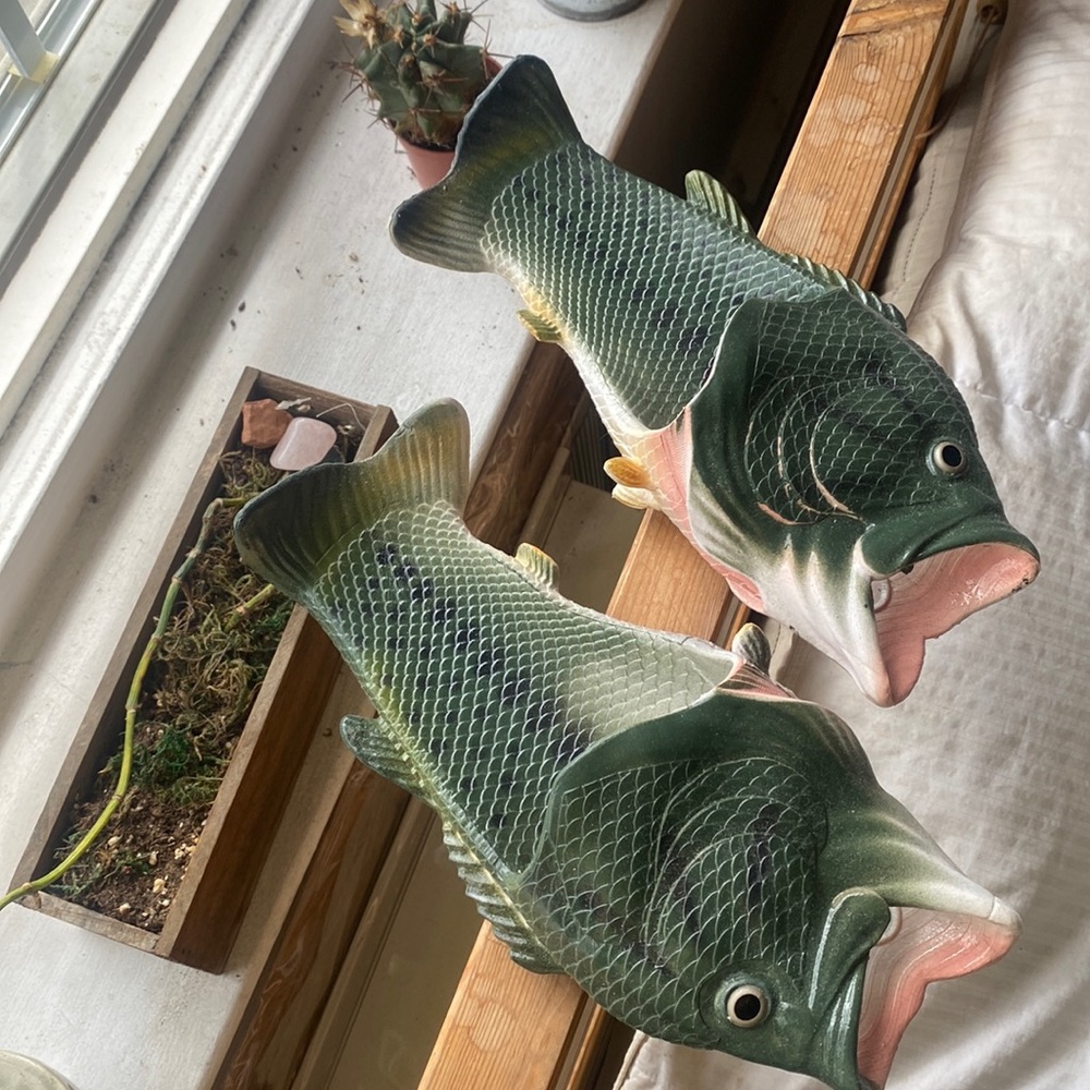Fish flops!